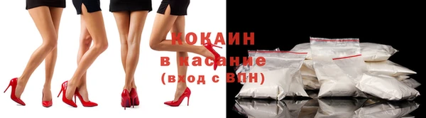 гашик Лабытнанги