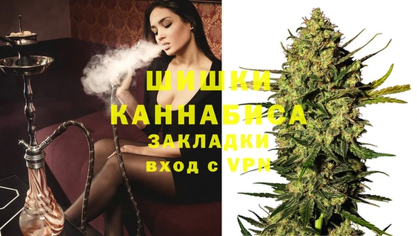 гашик Лабытнанги
