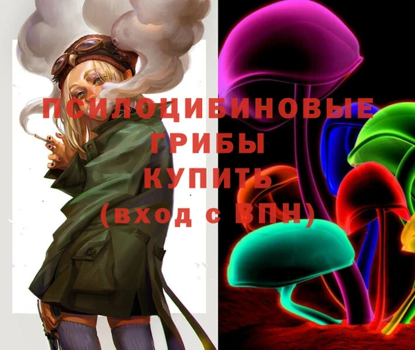 гашик Лабытнанги
