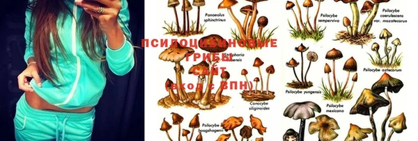 гашик Лабытнанги